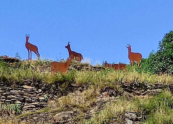 La Solana Del Laball דירה *